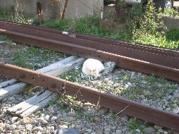 ��������å��ǳ���!